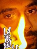 Achat DVD  La Vie Est Folle 