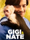 Achat DVD  Gigi & Nate 