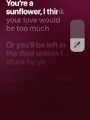 Achat DVD  Comment Utiliser Apple Music Sing 