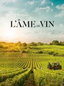 Achat DVD  L'âme Du Vin 