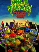 Achat DVD  Ninja Turtles: Teenage Years 