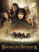 Télécharger Le Seigneur Des Anneaux - La Communauté De L'anneau