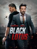 Achat DVD  Black Lotus 