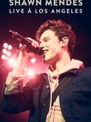 Télécharger Live : Shawn Mendes à Los Angeles