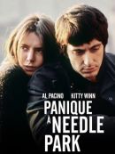 Achat DVD  Panique à Needle Park 