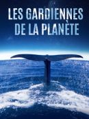 Achat DVD  Les Gardiennes De La Planète 