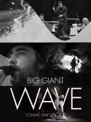 Achat DVD  Comme Une Vague (Version Sous-titrée) 