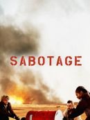 Achat DVD  Sabotage (2022) 
