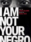 Achat DVD  I Am Not Your Negro 