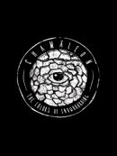 Achat DVD  Chamäleon - The Colors Of Snowboarding 