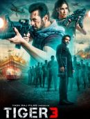 Télécharger Tiger 3