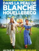 Achat DVD  Dans La Peau De Blanche Houellebecq 
