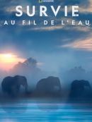 Achat DVD  Survie Au Fil De L’eau 