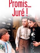 Achat DVD  Promis… Juré ! 