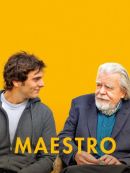 Achat DVD  Maestro (2014) 
