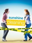 Achat DVD  Sunshine Cleaning 