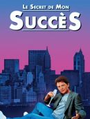 Achat DVD  Le Secret De Mon Succes (1987) 