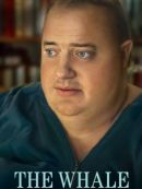 Achat DVD  The Whale 