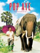 Télécharger Pop Aye