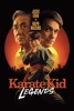 Achat DVD  Karate Kid: Legends 