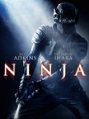 Télécharger Ninja