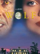Achat DVD  Wolf 