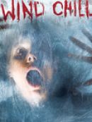 Achat DVD  Wind Chill 