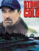 Achat DVD  Stone Cold 