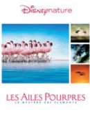 Achat DVD  Les Ailes Pourpres : Le Mystère Des Flamants 