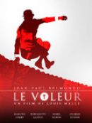 Achat DVD  Le voleur 