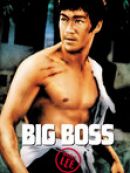 Télécharger Big Boss