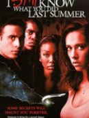 Achat DVD  Souviens-toi… L'été dernier 2 