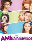 Achat DVD  Amiennemies 