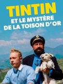 Achat DVD  Tintin Et Le Mystère De La Toison D'Or 