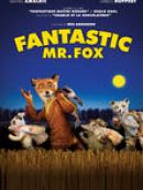Achat DVD  Fantastic Mr. Fox 