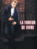 Achat DVD  La Fureur De Vivre 