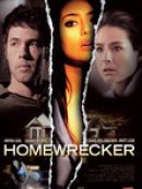 Achat DVD  Homewrecker 