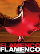 Achat DVD  Flamenco Flamenco 