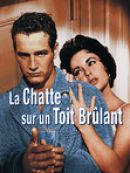 Achat DVD  La Chatte Sur Un Toit Brûlant 