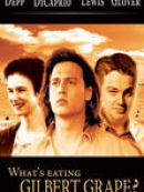 Achat DVD  What's Eating Gilbert Grape? (French Version) 