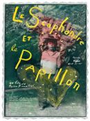 Achat DVD  Le Scaphandre Et Le Papillon 