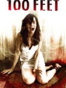 Télécharger 100 Feet