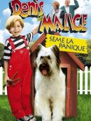 Achat DVD  Denis La Malice Sème La Panique 