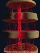 Achat DVD  MRDRCHAIN 