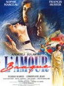 Achat DVD  L'amour braque 