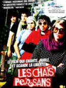 Achat DVD  Les Chats Persans (VOST) 