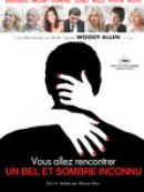 Télécharger Vous Allez Rencontrer Un Bel Et Sombre Inconnu