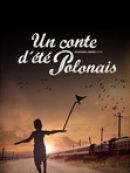 Achat DVD  Un conte d'été polonais 