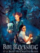 Achat DVD  Bibi Blocksberg et le secret des chouettes bleues 