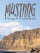 Achat DVD  Mustang - A Journey Of Transformation 